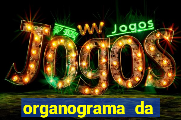 organograma da cacau show